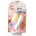 お役立ちグッズ リッチホイップブラシ SPV71073