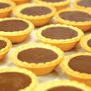 お役立ちグッズ 山盛り☆チョコタルトどっさり40個(プチガトーミルクチョコ) SM00010205