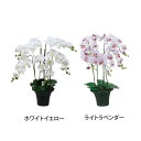 造花 コチョウラン(胡蝶蘭)5本立 ホワイトイエロー・326819お得 な全国一律 送料無料 日用品 便利 ユニーク