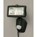 防犯センサーライト 防犯、や明かり取り、に最適 スポットライト センサーライト