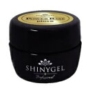 SHINYGEL パ...