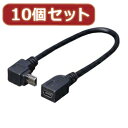 【10個セット】 USBmini L型ケーブル延長20(上L) USBM-CA20ULX10