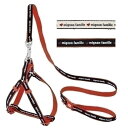 日用品雑貨 便利グッズ WA デニムスタイルハーネス&リード XS 黒 【ペット用品】