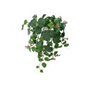 観葉植物 関連商品 光の楽園【光触媒/人工観葉植物】壁掛けフレンチアイビー