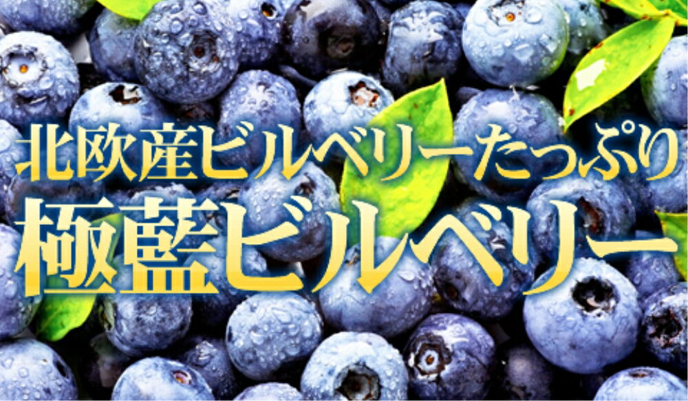 美容 北欧産 ブルーベリー 4個セット 極藍100倍濃縮北欧産ビルべリー 大容量 6ヵ月分