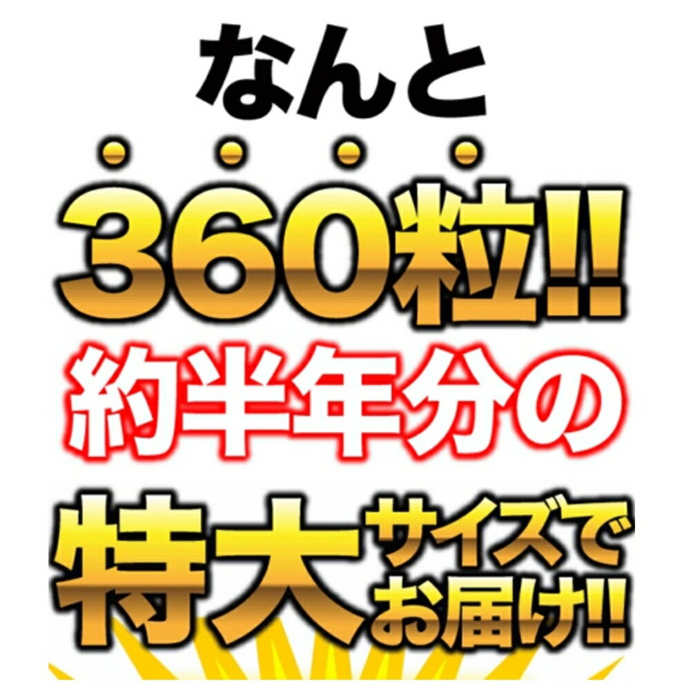 サプリ サポート サプリメント 4個セット 約半年分濃縮ブルーベリーサプリメント 360粒