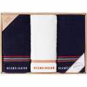 BEAMS DESIGN(ラインドット)フェイスタオル2P&...