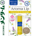 メンターム アロマリ...