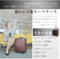 軽量スーツケース機内持ち込みTSAロック搭載ファスナーオープンNEWスタイルSサイズ(53cm)機内持込キャリーケース【あす楽対応_九州】【あす楽対応_四国】【あす楽対応_中国】【あす楽対応_近畿】
