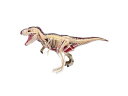 アオシマ 立体パズル 4D VISION 動物解剖 T-REX 解剖モデル