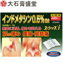 大石膏盛堂 ユーシップi 48枚 (第2類医薬品)