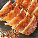 餃子 送料無料 パリッと香ばしい春巻き風 エビ餃子 30個【豚肉・海老・しいたけ・ニンジン・春雨入り】にんにく不使用 春巻き × 餃子 の新食感 ごま油の風味 海老餃子 国内生産 冷凍食品 冷凍