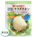 無添加 サラダチキン 高たんぱく質【国産鶏の胸肉使用 常温で長期保存】 プレーン 10食セッ