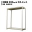 スチールラック 中軽量200kg/段(ボルトレス) 表示寸法:高さ120×幅120×奥行30cm:2段(枚)自重(22.6kg) ・単体形式: 【スチールラック】 業務用スチールラック スチール棚 本棚 スチール スチール製 オープンラック