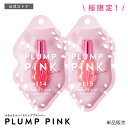 【最大1,000円OFFクーポン!2/9(日)20:00〜2/16(日)9:59迄】リップグロス リップ プラ