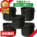 不織布ポット 植木鉢 プランター おしゃれ 軽い 深鉢 大型 大きめ フェルト ガーデンバッグ 野菜栽培 家庭菜園 鉢植え 大型 寄せ植え 布 鉢 深め 5個 3ガロン
