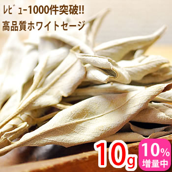 ［無農薬/高品質］上質枝付きホワイトセージ10g 浄化用 カリフォルニア産＜天然石-浄化グッズ・パワーストーン＞ホワイトセイジ|スマッジングハーブ|お香|アロマ　【あす楽対応】【特価販売】【0601】【27Apr12P】【01May12P】【07May12P】ホワイトセージ ホワイトセイジ カリフォルニア産 スマッジングハーブ 天然石アクセサリーの浄化用に お手入れ メンテナス 天然石 パワーストーン レビュー増量