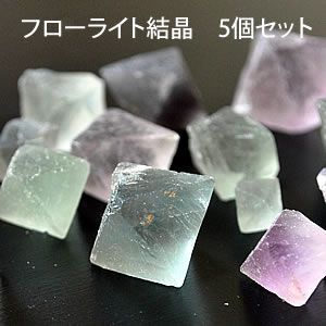 [5個セット]フローライト 8面体結晶 原石 クラスター フローライト 天然石 パワースト…...:stone-larimar:10004765