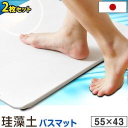 2枚セット 天日干しOK 殺菌 消毒 日本製 <strong>珪藻土バスマット</strong> L 55×43cm 大判 バスマット 珪藻土 速乾 足拭きマット 足乾バスマット 足ふき お風呂 風呂 洗面所 脱衣所 国産 マット 無地 珪藻土 お祝い