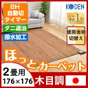 【送料無料/在庫有】 日本製 フローリング調 カバーのいらない ホットカーペット 2畳 176×176 広電 国産 本体 電気カーペット 床暖房カーペット 暖房器具 ラグ 暖房 2畳用 KODEN ダニ退治 8時間自動切りタイマー タイマー 木目調 撥水 ダニクリーン 木目