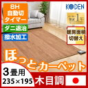 ◆今だけ!クーポン配布中◆【送料無料】 日本製 フローリング調 カバーのいらない ホットカーペット 3畳 235×195 広電 国産 電気カーペット 床暖房カーペット 暖房器具 ラグ 暖房 3畳用 KODEN ダニ退治 8時間自動切りタイマー タイマー 木目調 撥水 ダニクリーン 木目