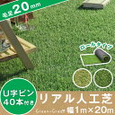 選べる2カラー【送料無料】 人工芝 ロールタイプ リアル U字固定ピン40本入 ロール 芝丈20mm 20m 1m×20m リアル人工芝 マット U字ピン 庭 ふかふか 人工芝生 ガーデニング ベランダ バルコニー テラス ガーデン