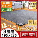 ◆クーポンで350円OFF◆【送料無料】 確かな品質 ホットカーペット 3畳 235×195 暖房面3