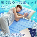 ◆在庫限り!2,980円◆【送料無料】塩で冷やす! 塩 冷却マット 90×140 ひんやりマット 敷きパッド シングル 抗菌 防カビ 超低ホル 冷感 クール 敷パッド 夏 クールマット ひんやり 塩ジェル 敷きパット 敷パット パッド ソルト