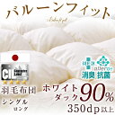 ◆20時〜4H限定!P10倍◆【送料無料】 特殊キルトでボリ...
