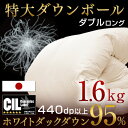 増量1.6kg 【送料無料/在庫有】暖かさが違う!大粒ダウンボール プラチナビッククラスター ホワイトマザーダック ダウン95% 日本製 羽毛布団 ダブル ロング CILブラックラベル 440dp かさ高180mm 7年保証 SEK アレルG+ 抗菌 防臭 掛け布団 羽毛掛け布団 羽毛 掛布団