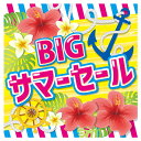 BIG サマーセール テーマポスター 10枚夏のセールに人気のデザインです。両面印刷なので、壁に貼るだけでなくポップスタンドに挟んで店内中央のPOPとしてもお使いいただけます。店舗ディスプレイ用 セール 装飾 ポスター イベント 飾り