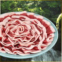 五條産ジビエ いのしし肉 300g【お取り寄せ】【お土産】【五條市運営の施設で加工】