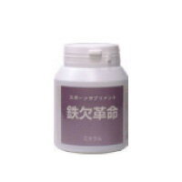 【送料無料】IBUKI（イブキ）　鉄欠革命 300mg×240粒【strongsports】