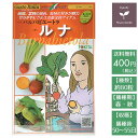 野菜のタネ ルナ(ビート) イタリアの珍しい種を送料無料でお届け!!