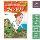 野菜のタネ ヴィットリア(イタリアンパセリ) イタリアの珍し...