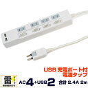 【送料無料】STYLED(スタイルド)雷ガード機能 USB充...