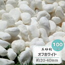 玉砂利 白 玉石 白玉砂利 白玉石 砂利 庭 オフホワイト 100kg 大粒 白砂利 敷き砂利 丸 丸石 和風 和風砂利 白色 ホワイト ガーデニング 化粧砂利 庭石 アプローチ 石 おしゃれ かわいい ジャリ 30mm内外 約20-40mm