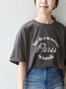 SHIPS レディース カットソー シップス SHIPS any