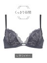 Chut! INTIMATES 【谷間メイク】 プッシュアップブラ (C322) シュット! インティ メイツ インナー/ナイトウェア ブラジャー ネイビー ホワイト【送料無料】