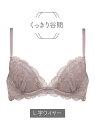 Chut! INTIMATES 【谷間メイク】 プッシュアップブラ (C314) シュット! インティ メイツ インナー/ナイトウェア ブラジャー グレー ホワイト【送料無料】