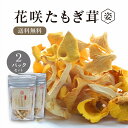 【2パック】【送料無料】 乾燥 花咲たもぎ茸 15g×2個セット 【姿】 熊本産 黄金きのこ タモギ茸