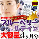 メガ盛り★ブルーベリー&ルテインサプリ約4ヵ月分≪常温≫ブルーベリー ルテイン 目 サプリメント ダイエット サプリ 業務用 人気 ランキング プレゼント お得 健康 ダイエットサプリ 美容サプリ 栄養補助 健康サプリ ダイエットサポート 女性
