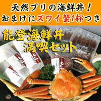 【送料無料】日本海の幸★能登海鮮丼満喫セット【gourmet1213】 