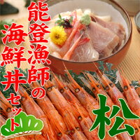 【送料無料】能登漁師の海鮮丼セット（松）【s-mail02】
