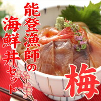 【送料無料】能登漁師の海鮮丼セット（梅）【s-mail02】