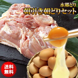 鶏肉 朝引き朝どりセット 水郷どり 1羽分 (<strong>もも肉</strong>2枚 胸肉2枚 ささみ2本) 放し飼い自然卵 10個詰 (＋破損補償分2個) 国産 産地直送 鶏卵 鳥肉 詰め合わせ 焼肉 焼き肉 楽天ランキング 1位 29の日SALE 肉の日セール お取り寄せグルメ ※【 冷蔵 限定 】【 送料無料 】