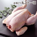 鶏肉 水郷どり 丸ごと1羽 中抜き ［ 国産 千葉県産 産地直送 新鮮 とり肉 鳥肉 水郷とり ローストチキン 丸鶏 丸鳥 29 ］【xmas】