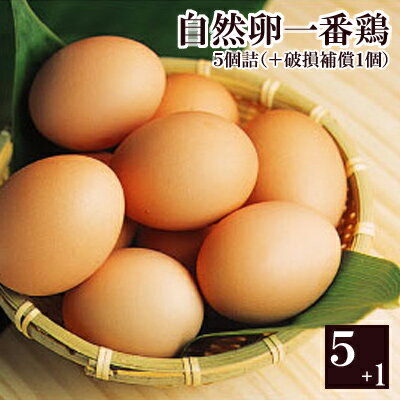 自然卵一番鶏「6個詰」［千葉県産］【2sp_120810_green】