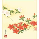 色紙 三幸 趣1号 つつじ K5-021A 蘭月 色紙のみ 154771912