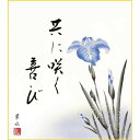 色紙 三幸 趣1号 菖蒲 K1-16B 葉水 色紙のみ 154771929